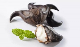 菱角怎么剥 菱角介绍