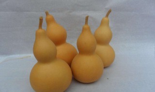 葫芦怎么玩 玩葫芦的方法