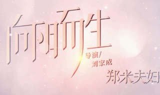 向阳而生大结局怎样 向阳而生大结局如何