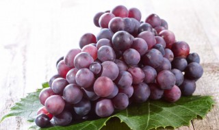 狗能不能吃葡萄 狗狗能吃葡萄吗