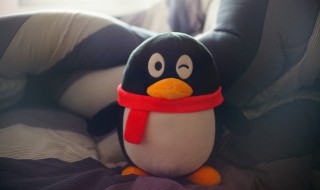 qq为什么不能换头像了 qq什么原因不能换头像了