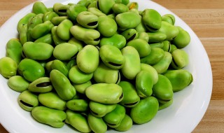 新鲜蚕豆米怎祥保存 存放新鲜蚕豆米的方法