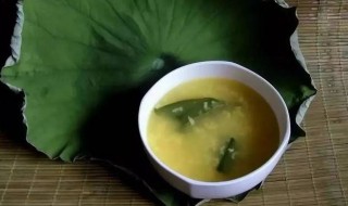 荷叶粥哪些人不能喝 荷叶粥什么人不能吃