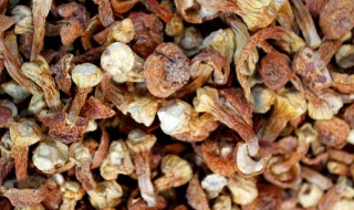 蘑菇干保存方法 怎么储存干蘑菇