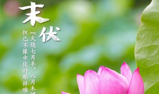 末伏天气是什么意思 末伏天气的意思