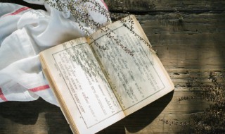 但当涉猎的涉猎意思 但当涉猎的涉猎意思是什么