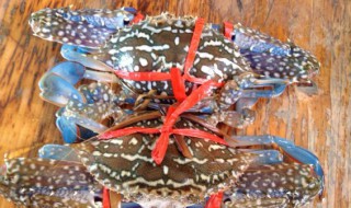 大花蟹放冰箱保存方法 大花蟹如何存放在冰箱