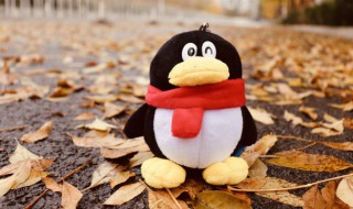 为什么qq不能打卡 qq不能打卡的原因