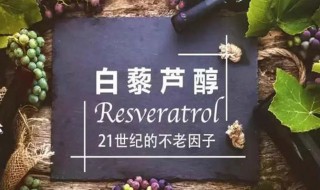 白黎芦醇哪些人不能吃 什么人不能吃白黎芦醇