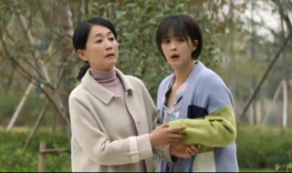 向阳而生是不是滚蛋吧肿瘤君 向阳而生是滚蛋吧肿瘤君吗