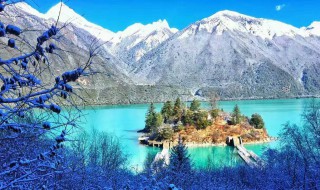 西藏林芝海拔有多高 西藏林芝很高吗