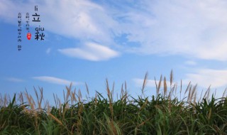 北方立秋习俗 北方立秋有什么习俗