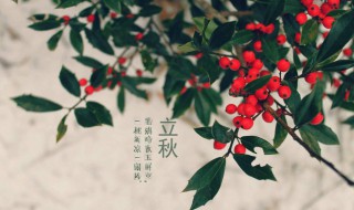 东北立秋吃什么 东北立秋的食物介绍