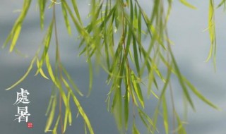 处暑说说 处暑个性说说签名