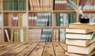 鸟的天堂是什么意思 鸟的天堂意思是什么