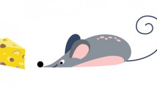 十二生肖属性知识大全 十二生肖基础知识