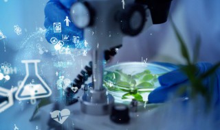 生物学中LTP是什么意思 生物学中LTP具体是什么意思