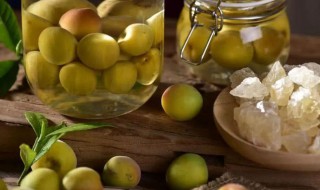 青梅是几月份成熟的 关于青梅成熟时间介绍