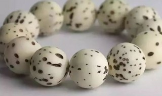 菩提根怎么清洗最干净 菩提根如何清洗最干净