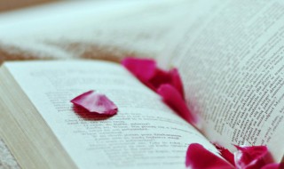 谁告诉我云水禅心是什么意思 云水禅心的理解