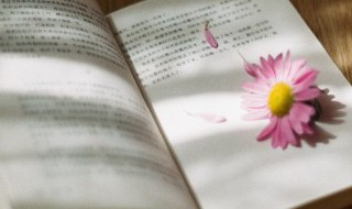 夕日欲颓沉鳞竞跃的沉鳞是什么意思 夕日欲颓沉鳞竞跃的沉鳞的意思