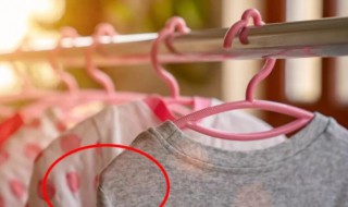 衣服肩膀鼓包怎么恢复 衣服肩膀鼓包如何恢复