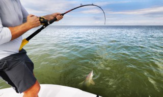 提竿的正确手法怎么操作 提竿时的标准手法