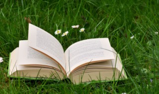 操之过急适得其反是什么意思 操之过急适得其反的理解