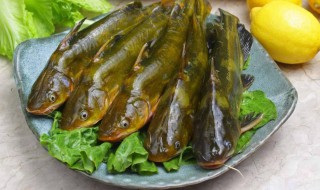 黄骨鱼刺多吗 黄骨鱼刺多不多呀