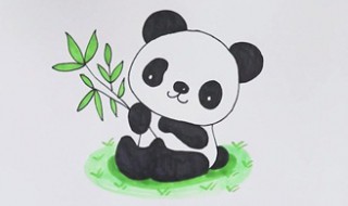 大熊猫怎么画 大熊猫简笔画教程