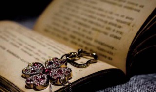 斑斑点点的意思 斑斑点点的解释