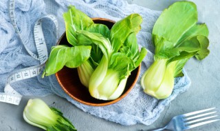 一个新手怎么买菜 适合新手的买菜方法