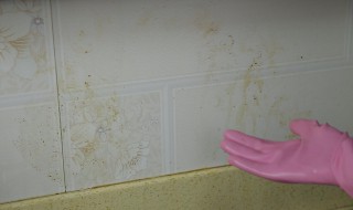 瓷砖上油渍怎么清洗干净 瓷砖上油渍的清洗方法