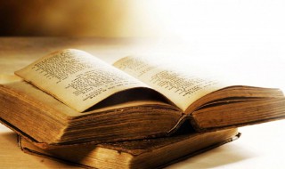 如意是什么东西 如意解释