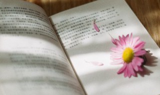 惊惶和慌张的区别 惊惶和慌张的区别是什么