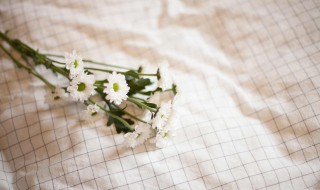 桌布怎么清洗又油又干净 桌布清洗方法