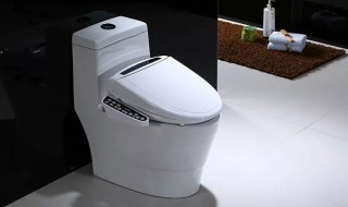 卫洗丽是什么东西 卫洗丽简介