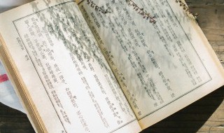 陆游的书愤中塞上长城空自许是什么意思 陆游的书愤中塞上长城空自许的意思