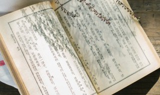 天地一沙鸥全诗 天地一沙鸥全诗内容