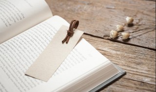 双向奔赴的爱情指什么 双向奔赴的爱情含义