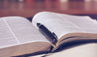 成份和成分的区别 成份和成分的区别是什么