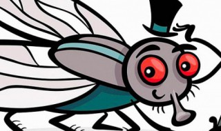 去苍蝇的小妙招 关于去苍蝇的小妙招