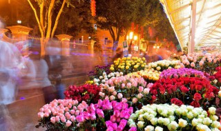 表白送11朵还是19朵 表白送11朵还是19朵呢