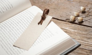 杂诗王维原文及翻译 杂诗原文是什么