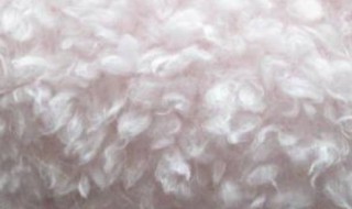 绒毛和茸毛有什么区别 绒毛和茸毛区别在哪里