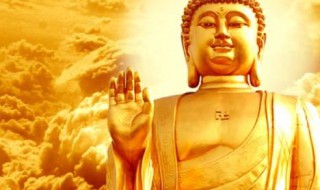 释迦是谁 释迦资料