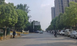 延乔路的由来 延乔路的来源