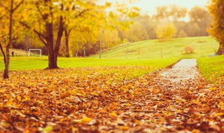 孟秋是几月 孟秋是什么时候