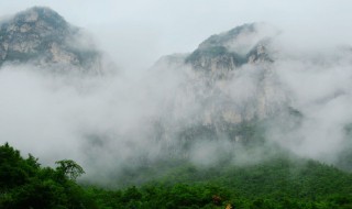 为什么山上会有很多雾 山上会有很多雾的原因