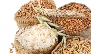 莜面是什么农作物 莜面是什么类农作物